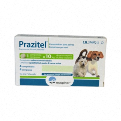 praziquantel