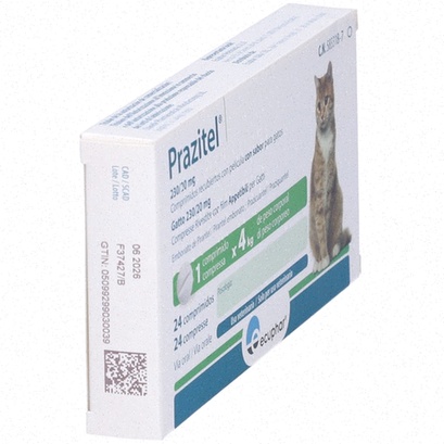 praziquantel